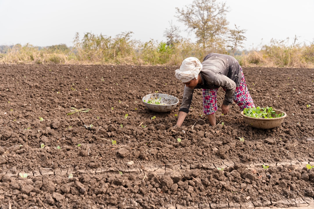 Photo Fertilizer, Gardening